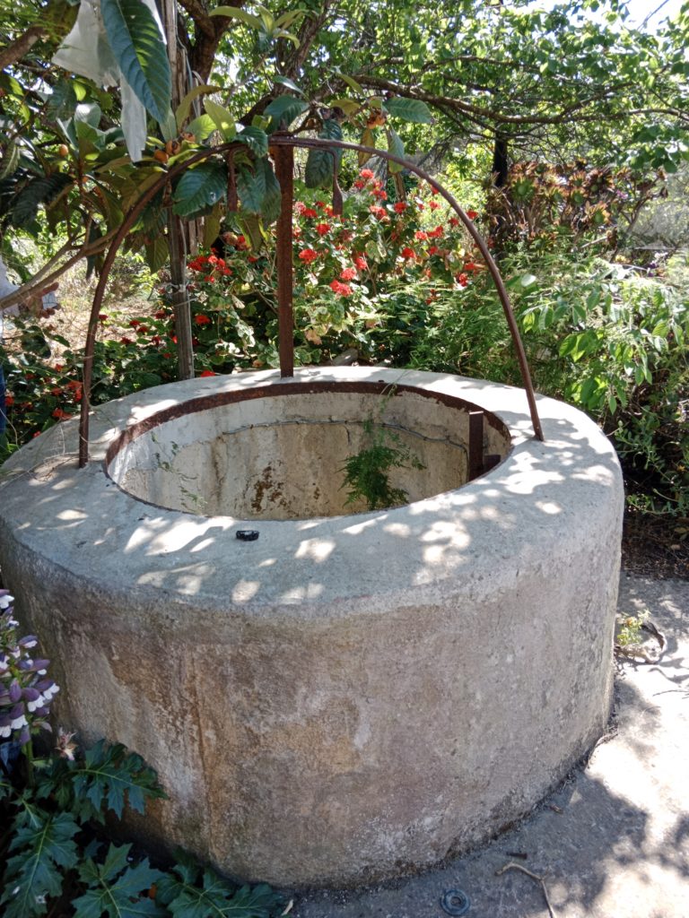 Brunnen