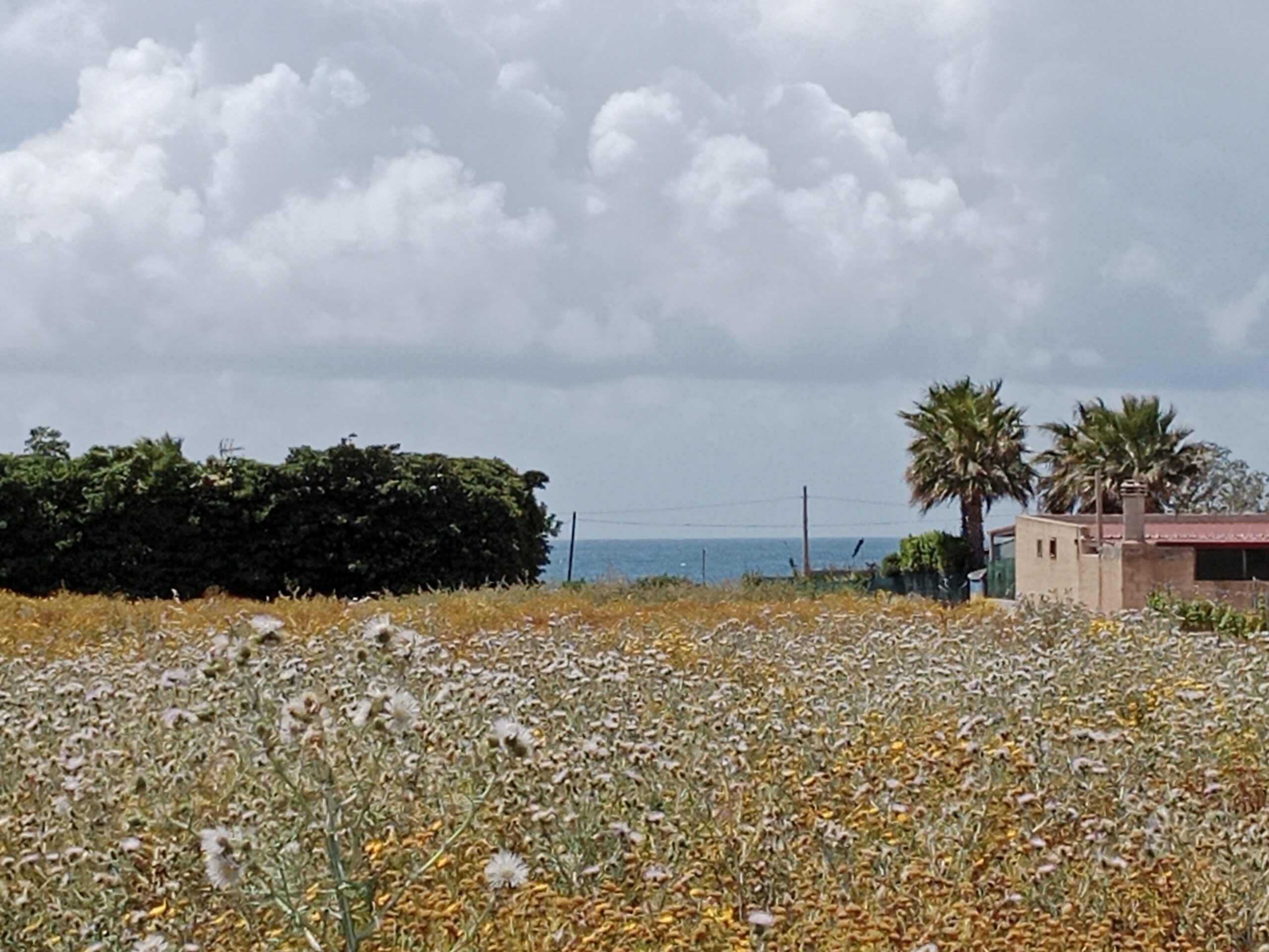 Grundstück nahe am Meer in Petrosino