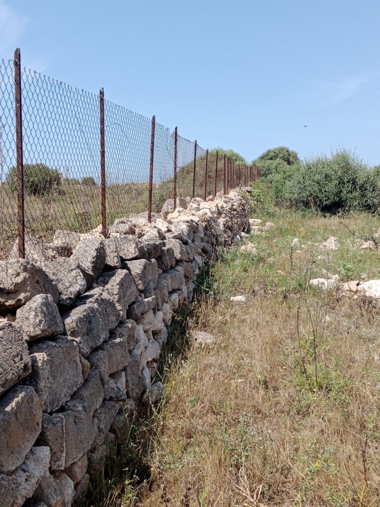 Alte Steinmauer