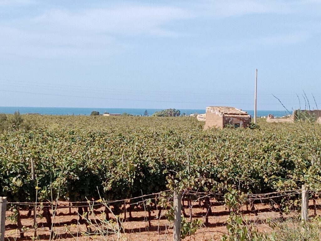 Blick auf das Meer