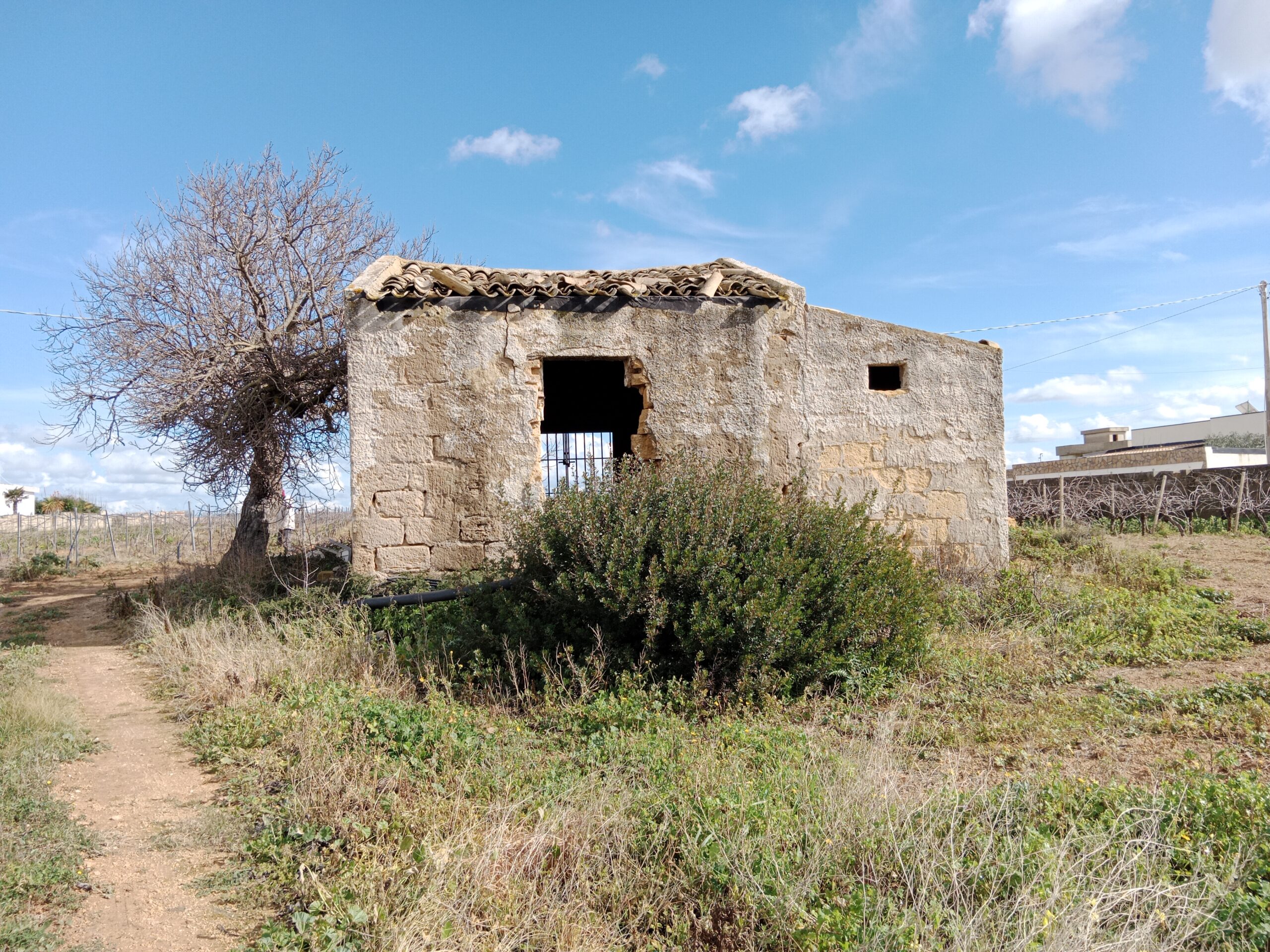 Rustico mit unverbaubarer Meersicht in Mazara del Vallo