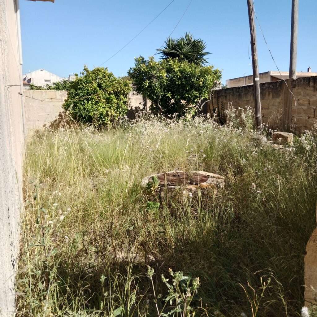Garten neben dem Haus