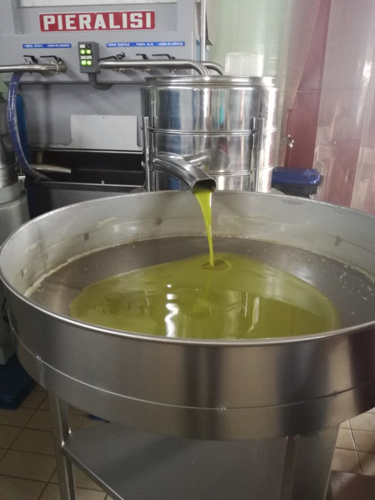 frisches Olivenöl gepresst in der Ölmühle