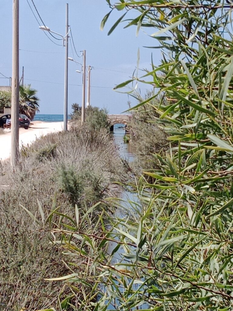 Bachlauf am Haus zum Meer