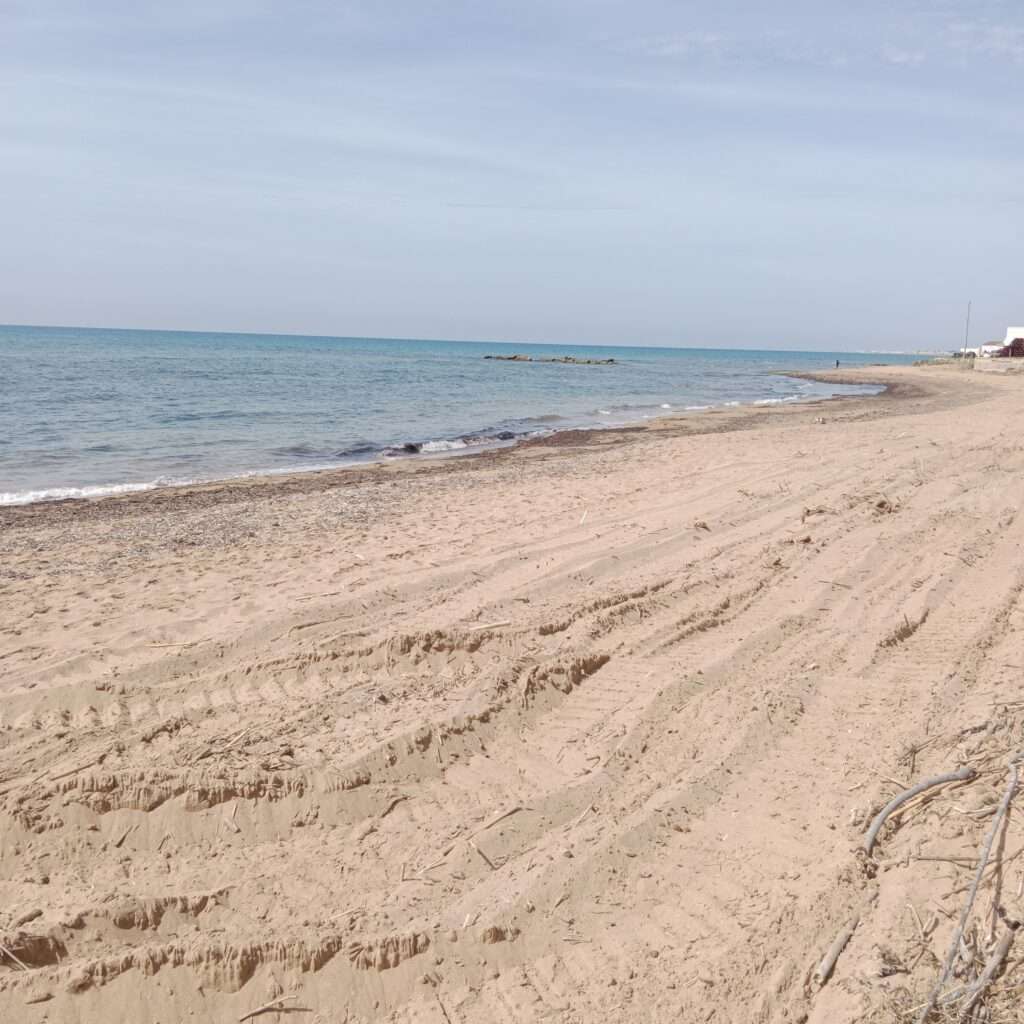 Strand