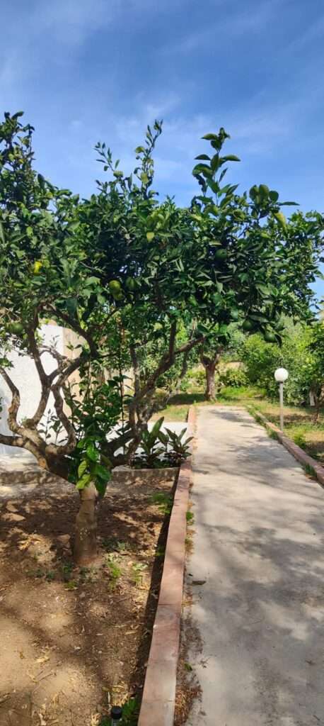 Garten