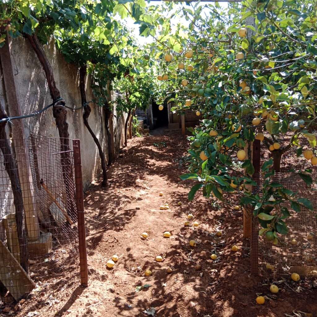 Garten
