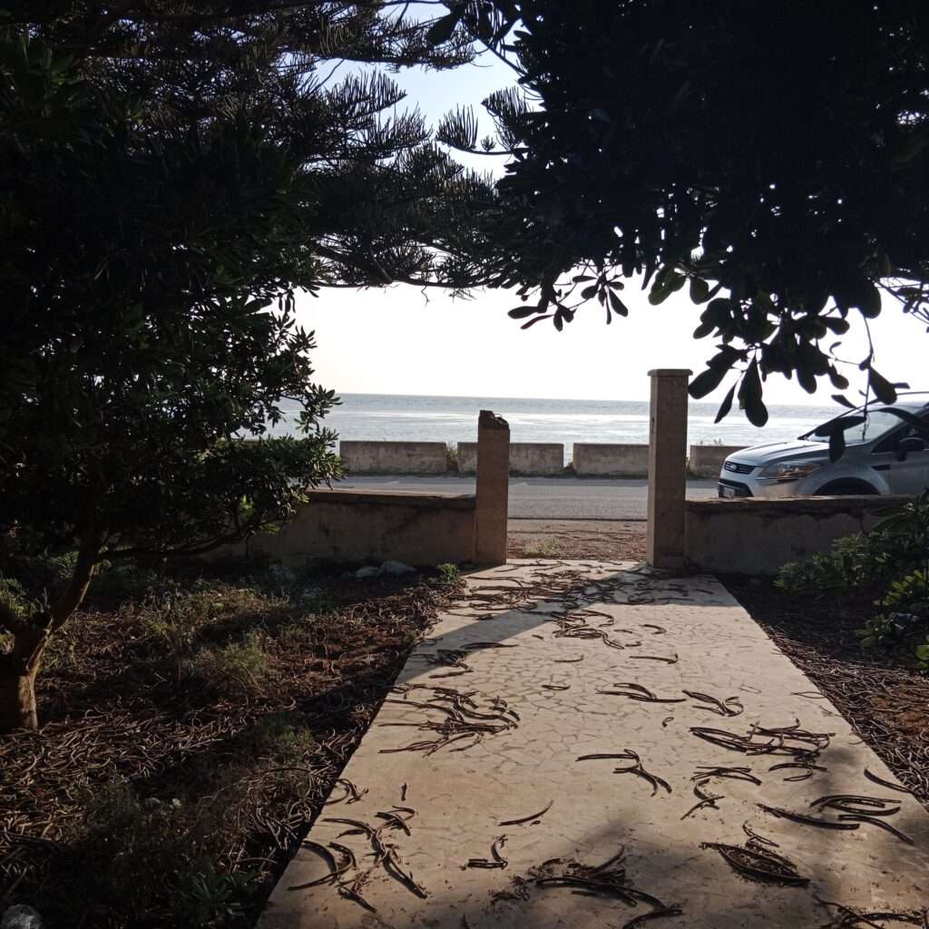 Blick zum Meer vom Eingang