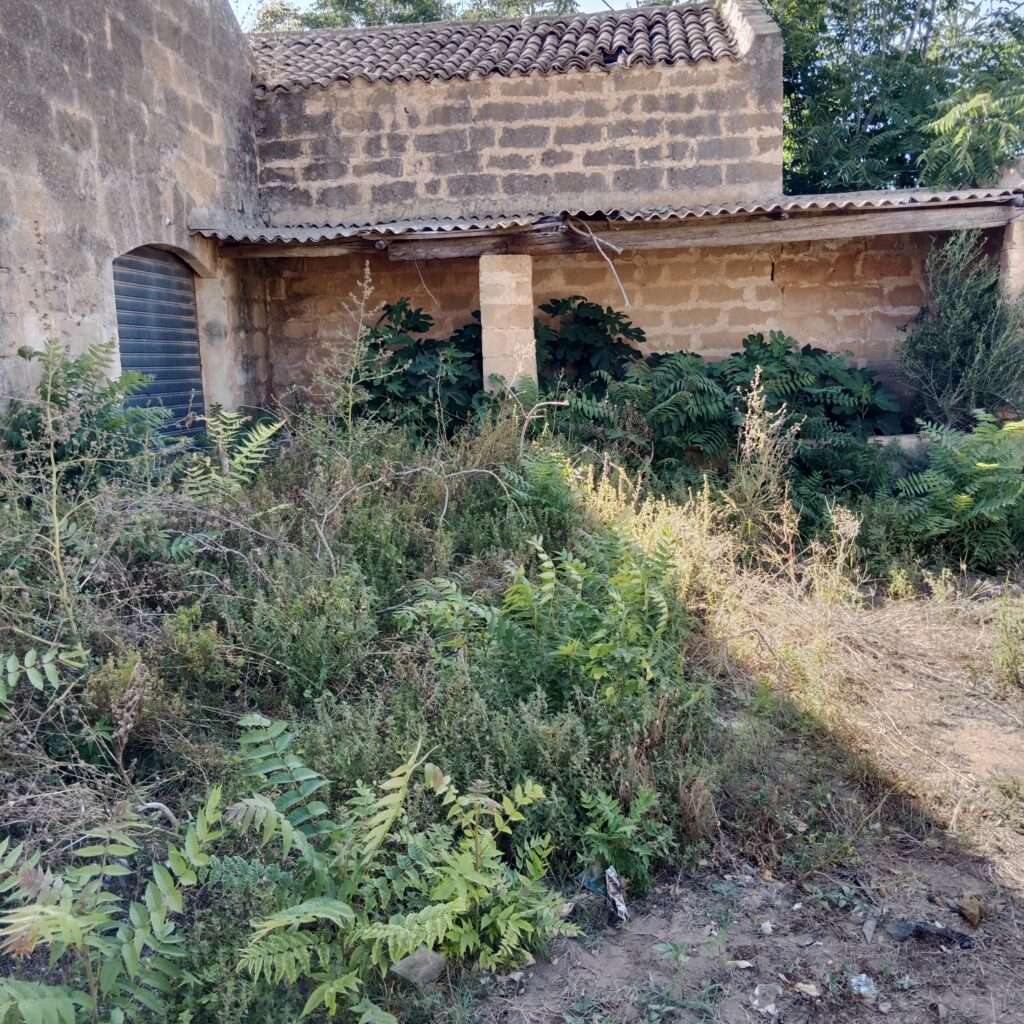 Rückseite