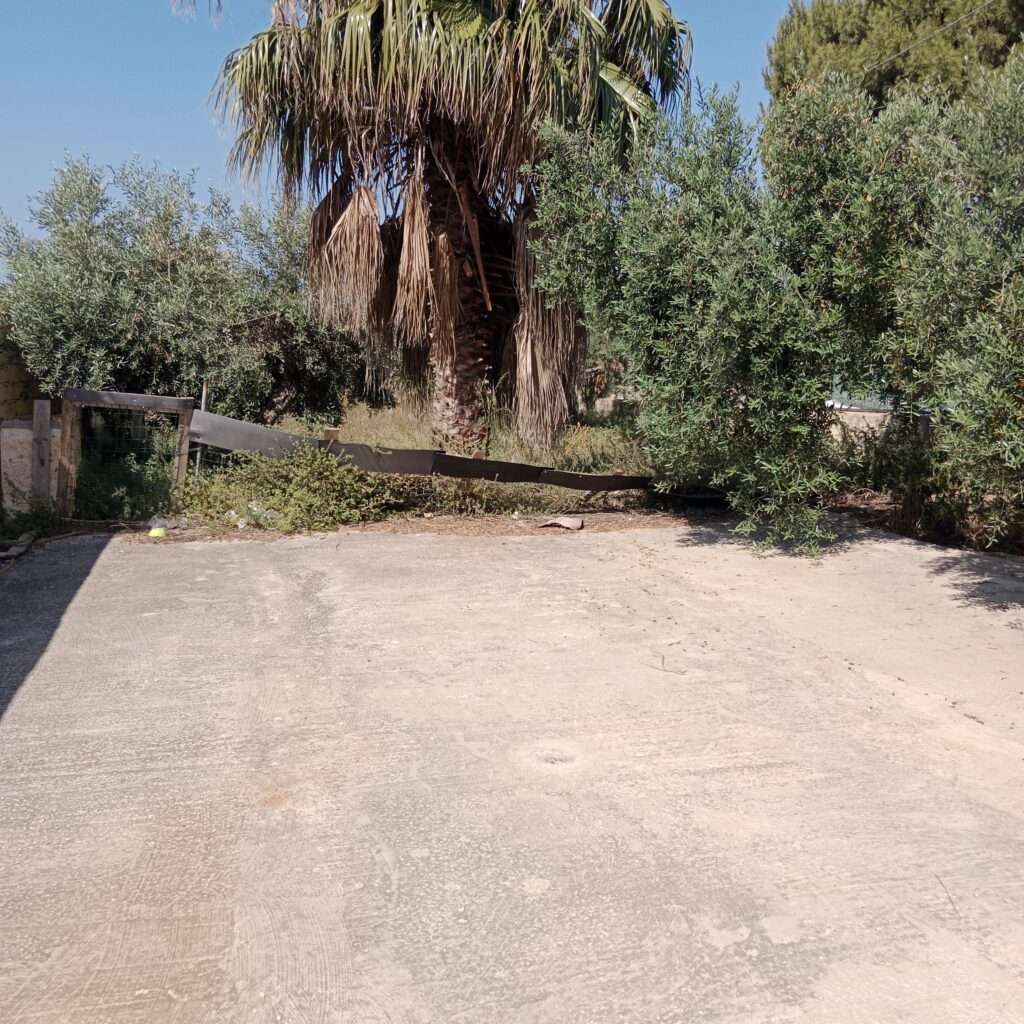 Parken im Garten