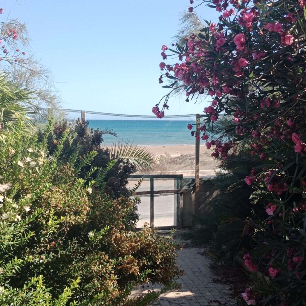 Blick vom Hauseingang zum Strand