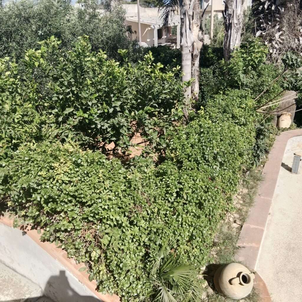 Gartenanteil
