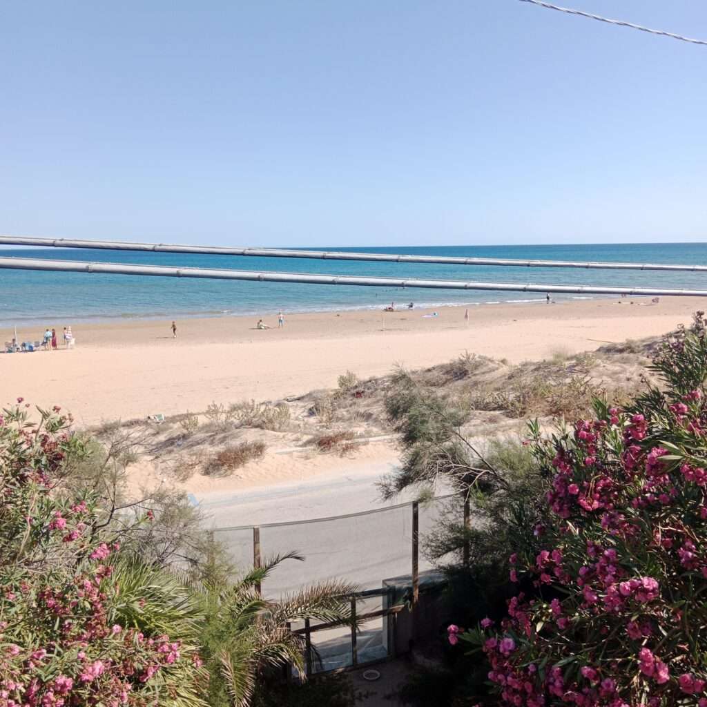 Blick auf den Strand vom Dach