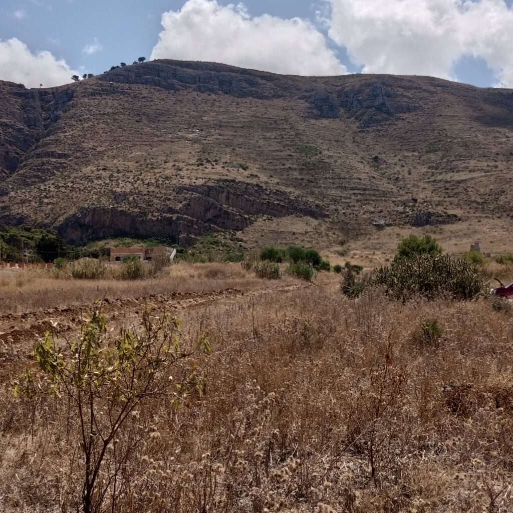 Sicht zum Berg Erice