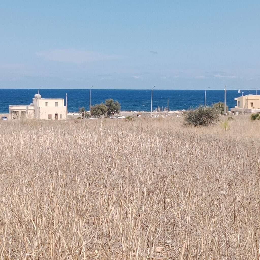 Sicht auf das Meer