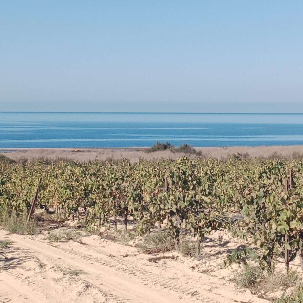 Blick auf das Meer