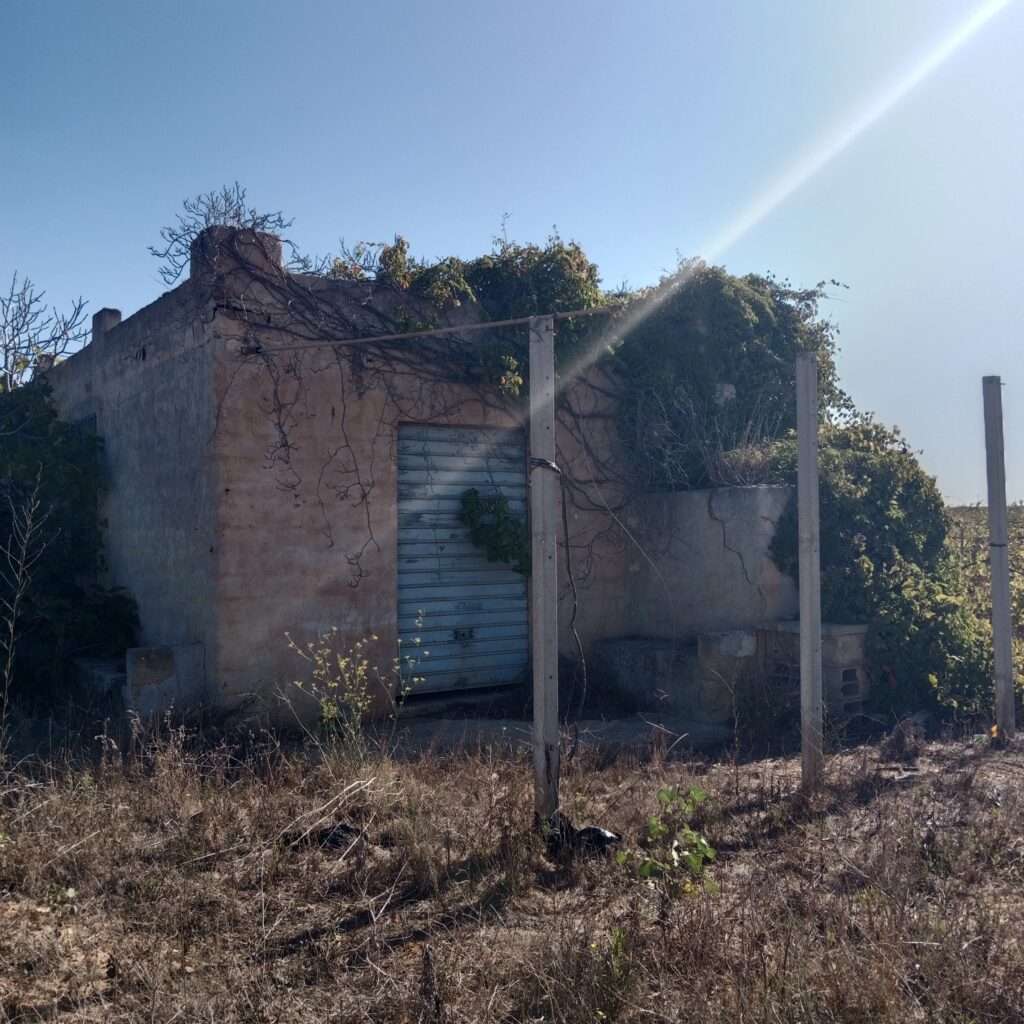 Rustico
