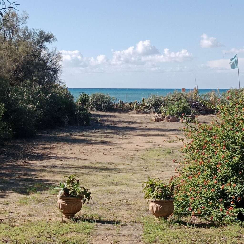 Blick von der Terrasse zum Meer