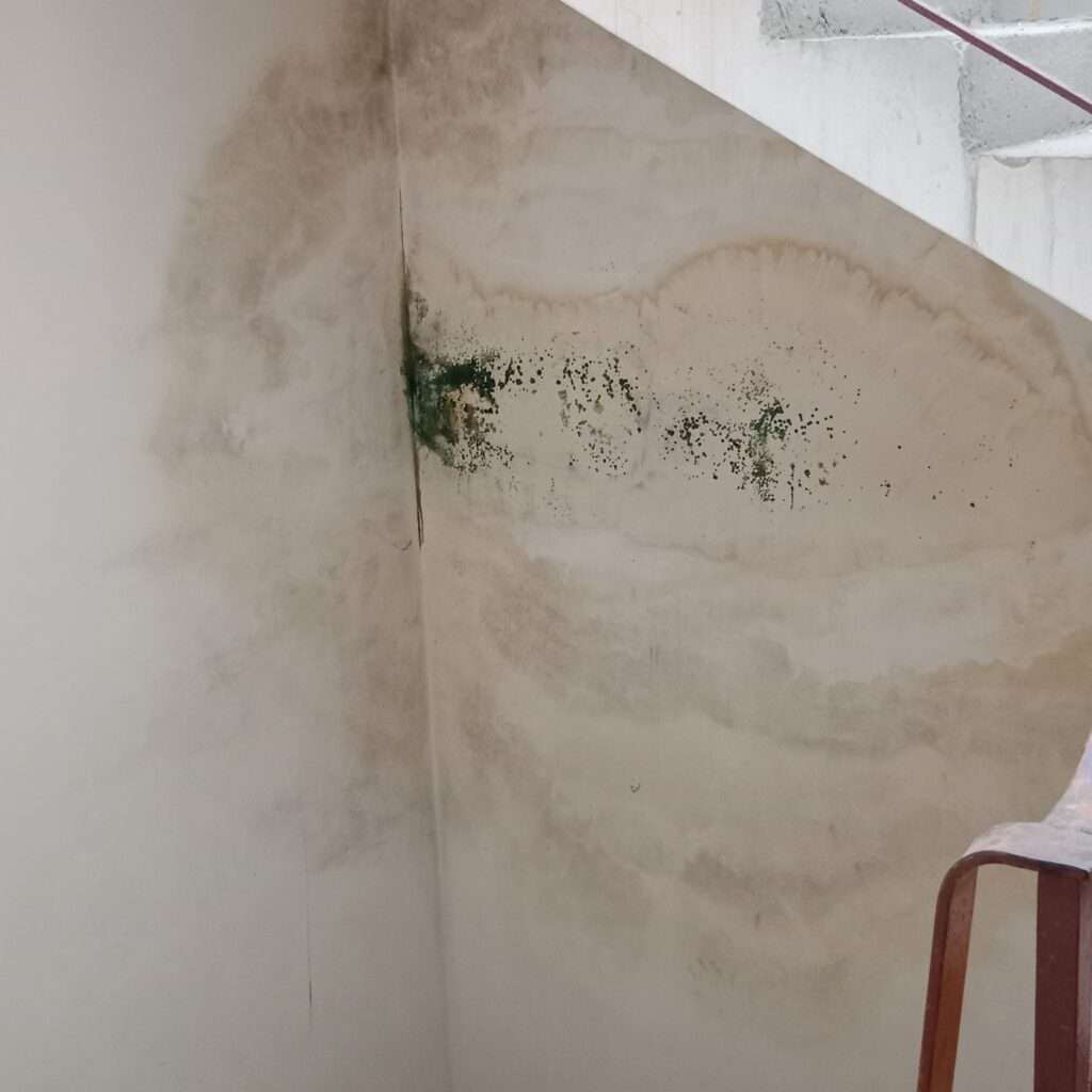 Feuchtigskeit im Treppenhaus