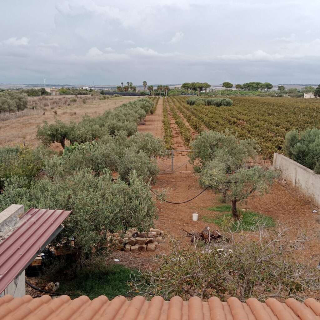 Blick vom Dach auf das landwirtschaftliche Grundstück