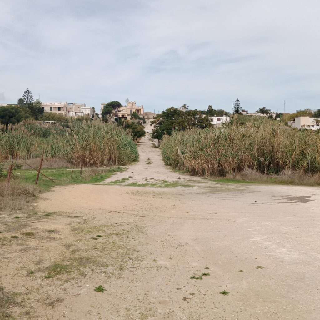 Der Weg vom Strand aus