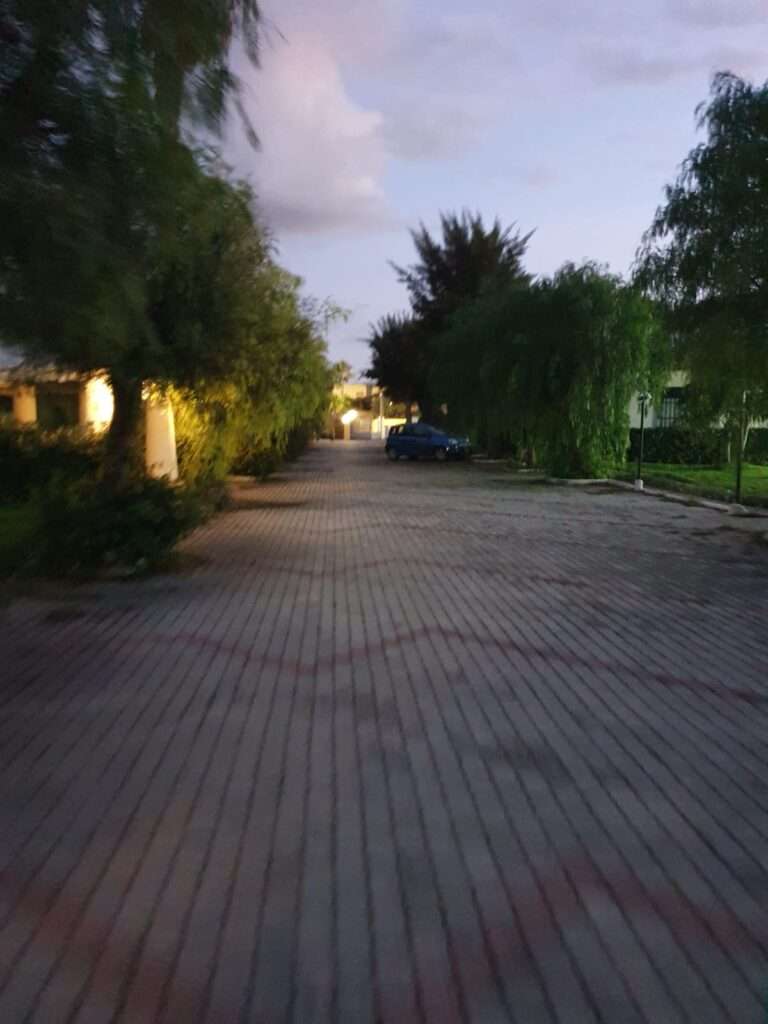 Gemeinschaftlicher Hofraum