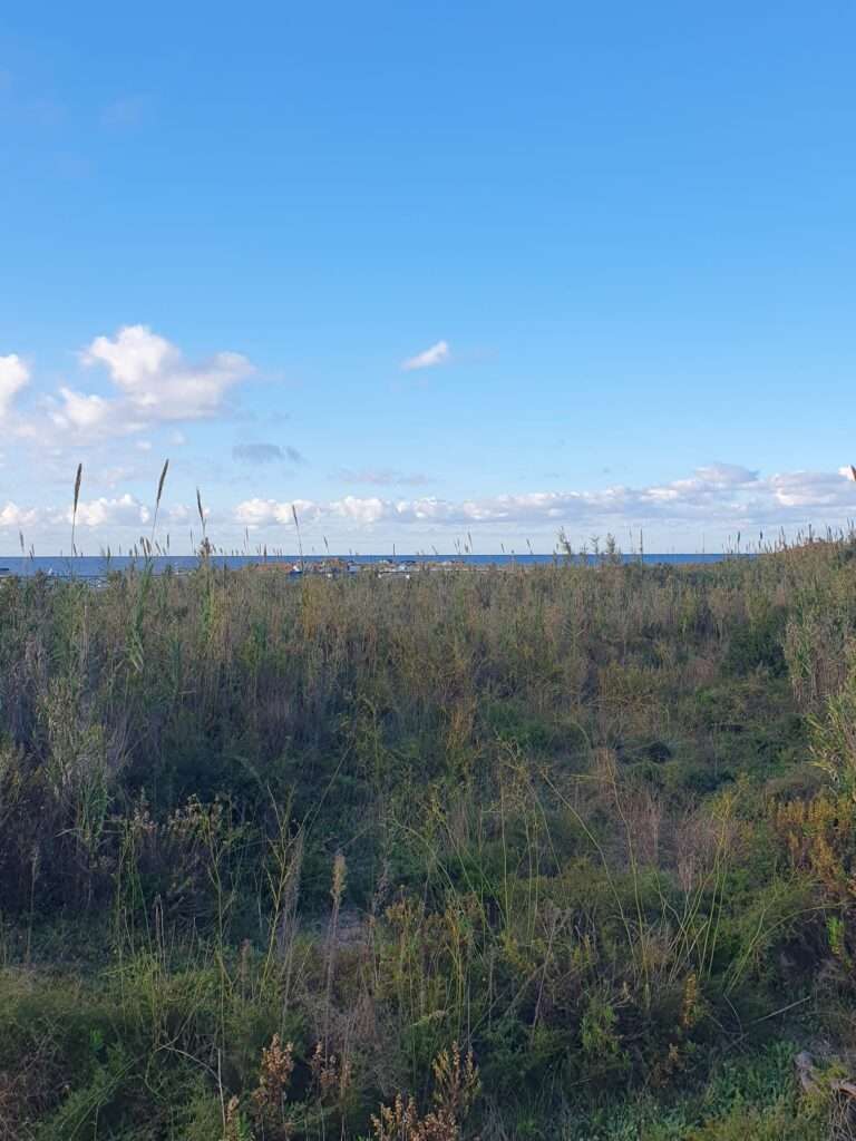 Landwirtschaftliches Grundstück am Meer in Petrosino