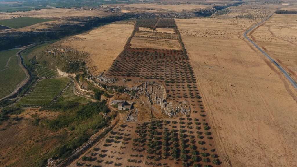 Großer Olivenhain mit Freiflächen in Mazara del Vallo
