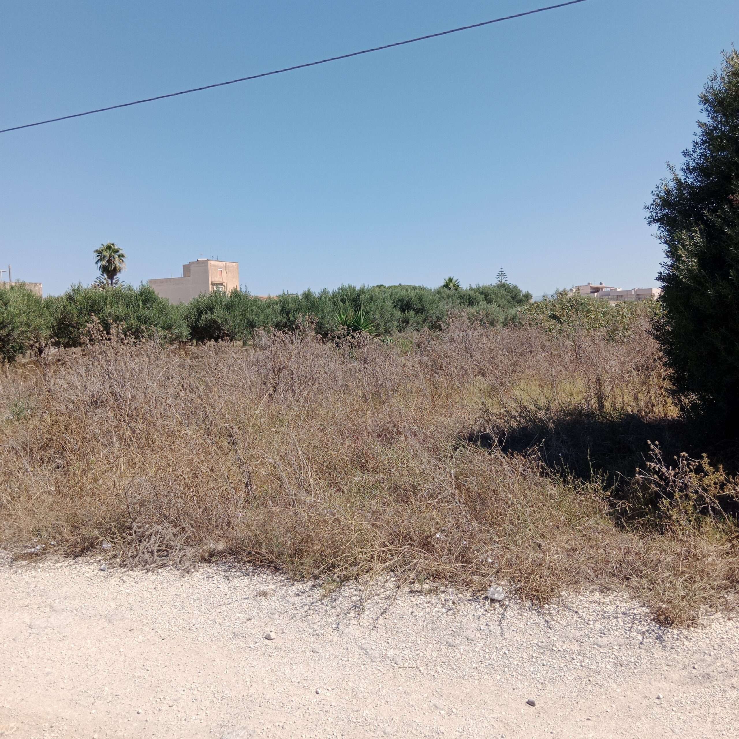 Kleines Grundstück mit Baumöglichkeit in Marsala