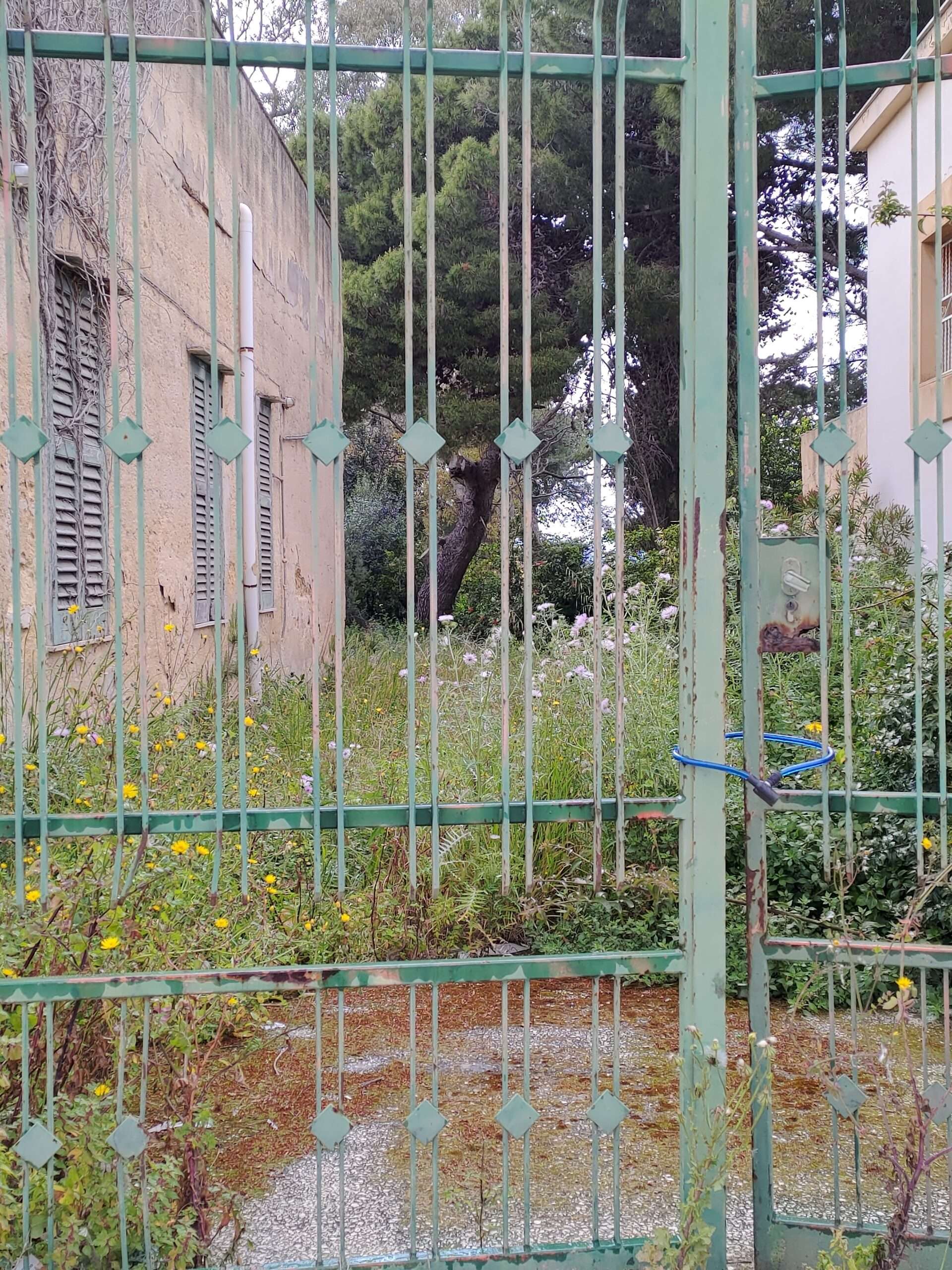 Usucapione – Ersitzung von Immobilien in Italien