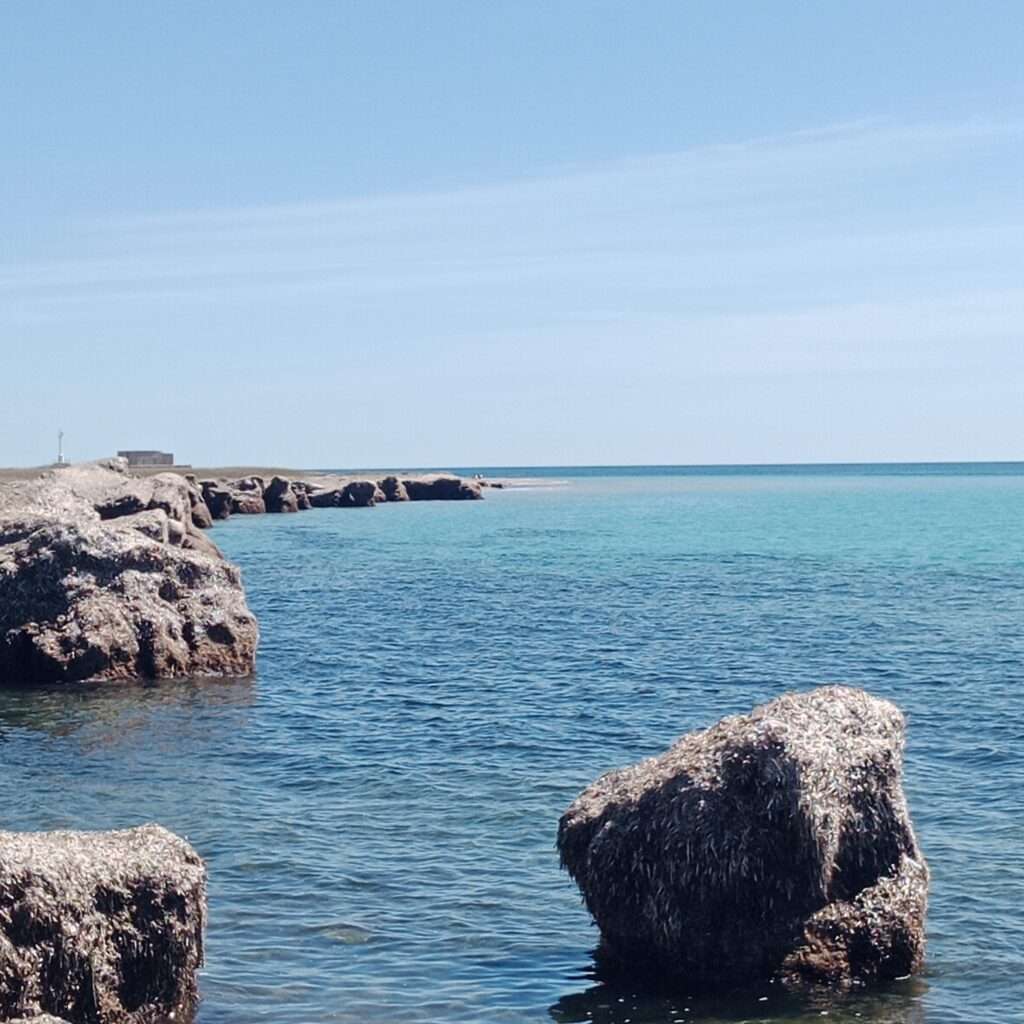 Capo Feto