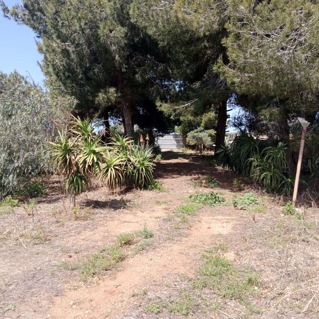 Einfahrt zum Grundst&uuml;ck