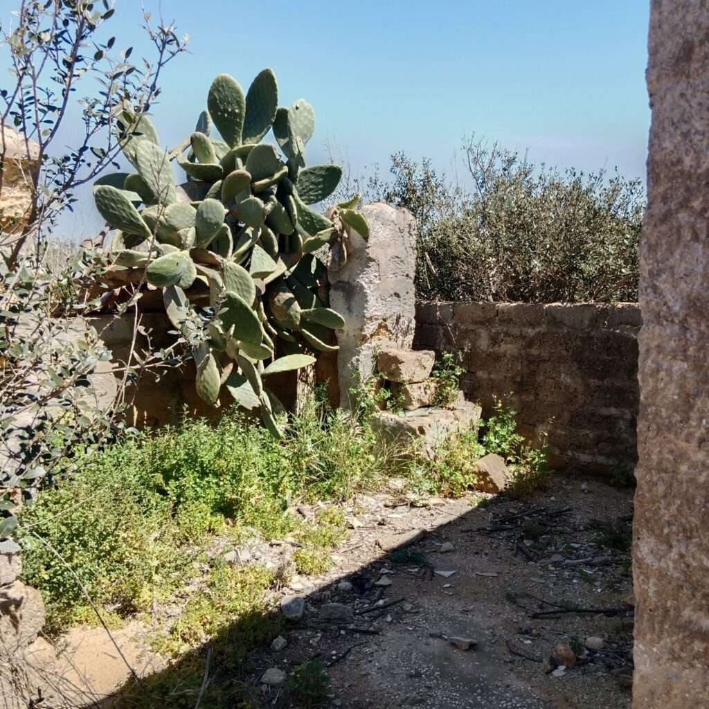 Veranda, &Uuml;berdachung m&ouml;glich