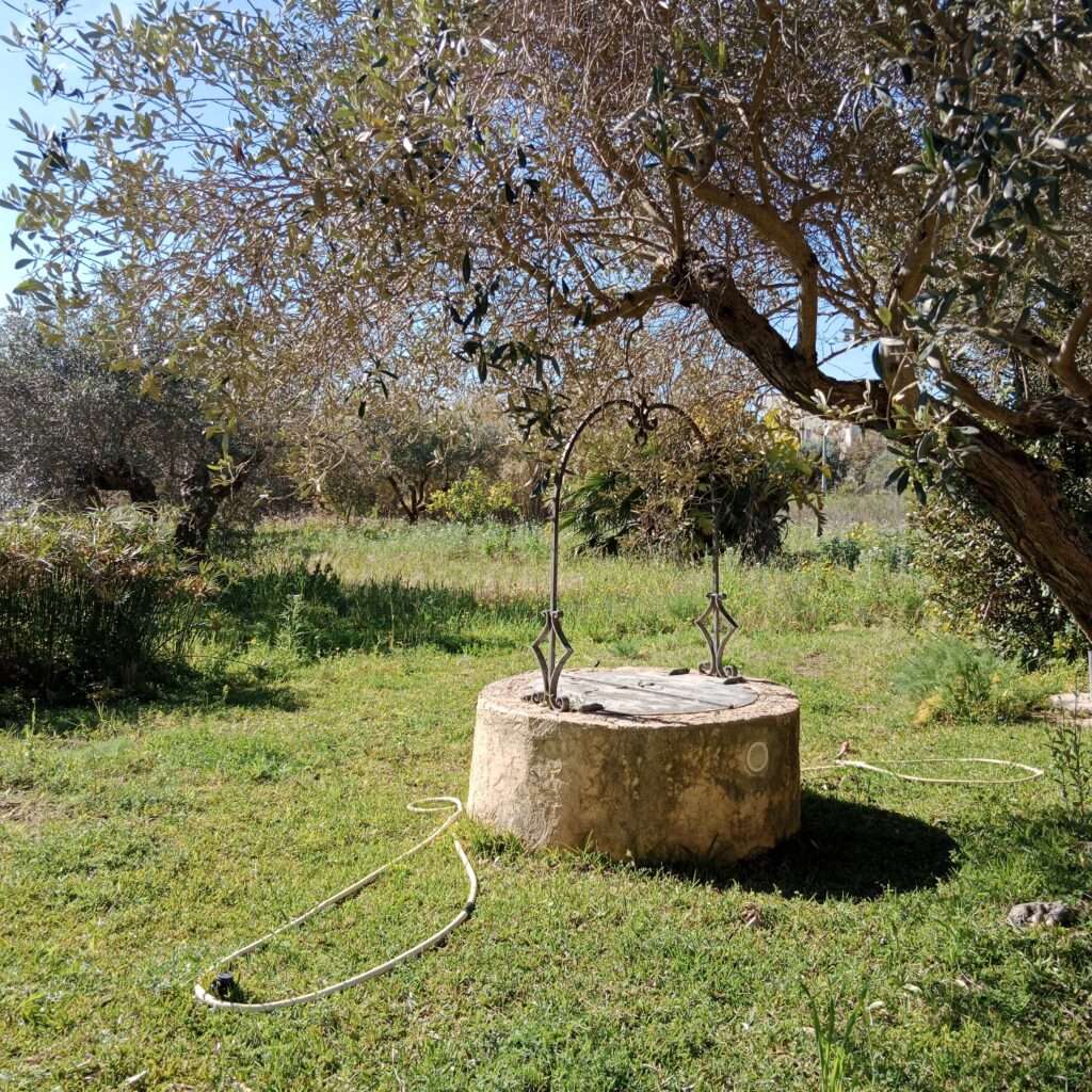 Gemeinschaftsplatz und Brunnen