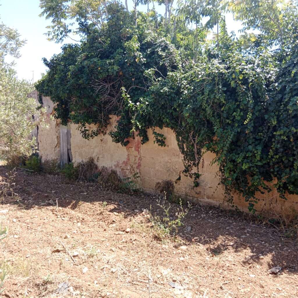 Rustico