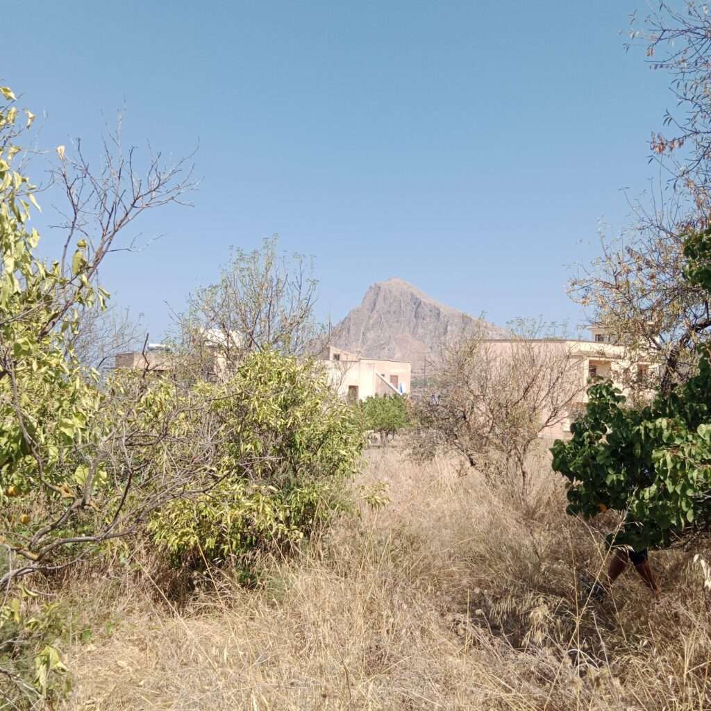 Garten mit Blick auf den Monte Cofano