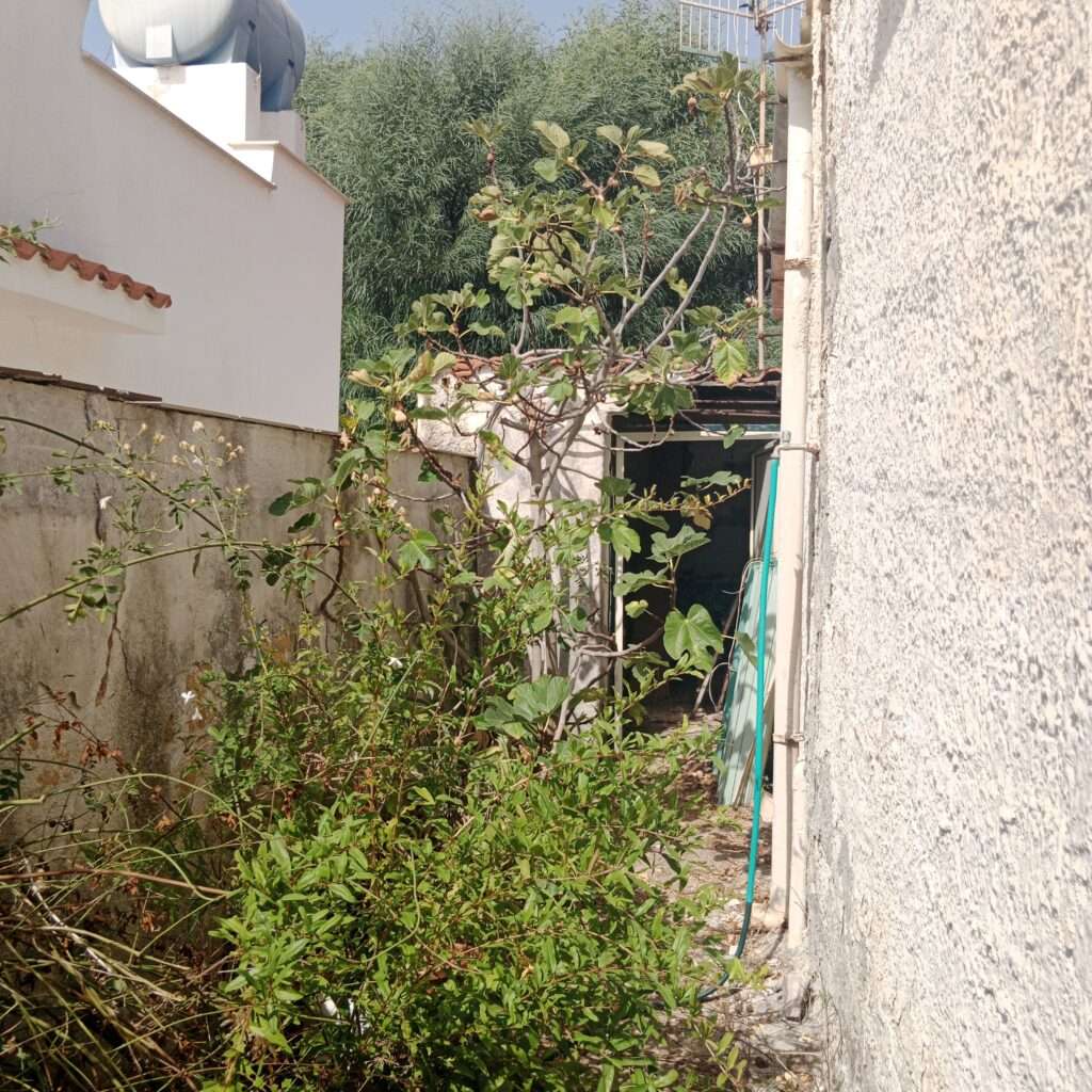 Hinter dem Haus und Zugang zur Au&szlig;endusche