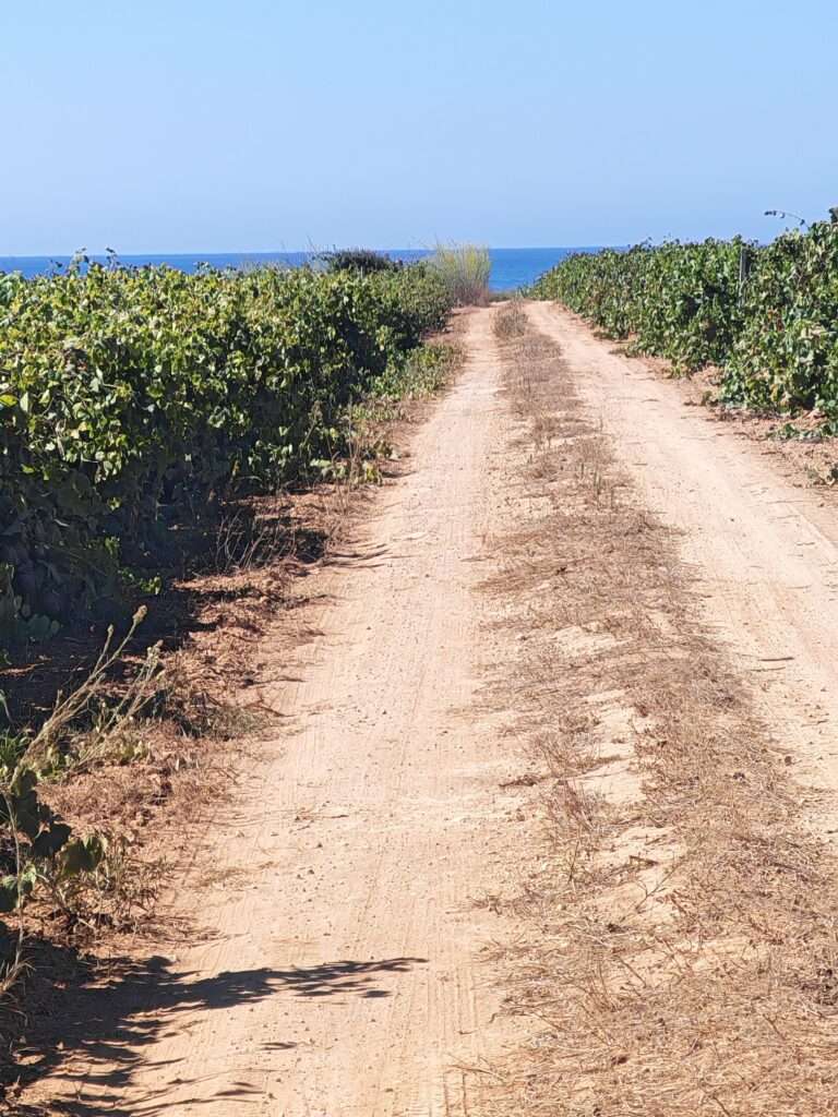 Weg zum Meer