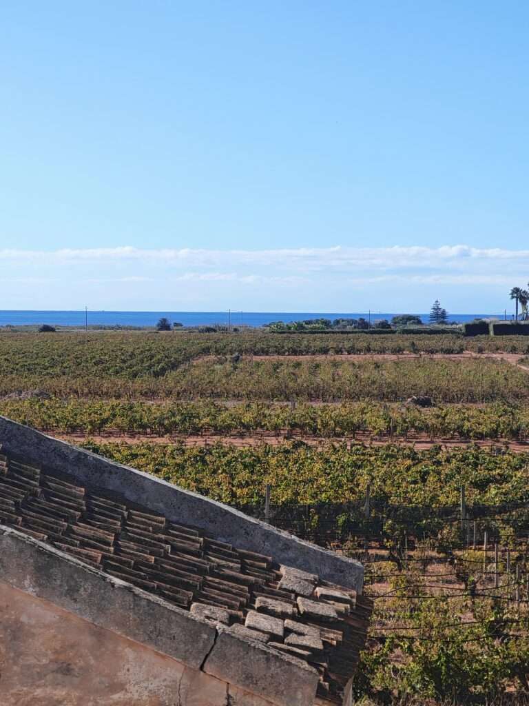 Blick auf die Felder und das Meer